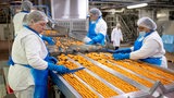 In einem Werk des Bremerhavener Tiefkühlkostherstellers Frosta überwachen Mitarbeiter die Produktion von veganen Fischstäbchen.