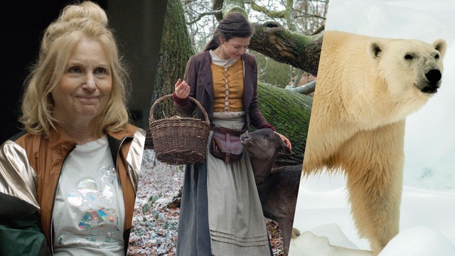 Collage: Maren Kroymann, Szene aus dem Märchen "Die 12 Jahreszeiten" und ein Eisbär