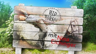 Hiphorses