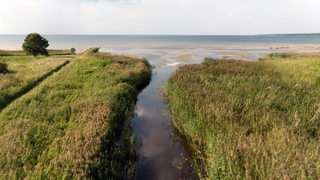 Lahemaa