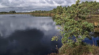 Nationalparks im Baltikum - Soomaa