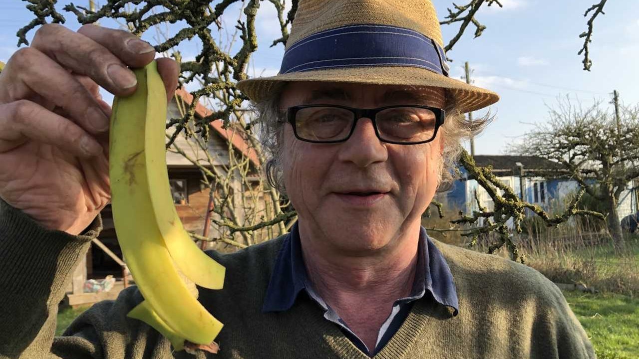Der Parzellist mit einer Bananenschale