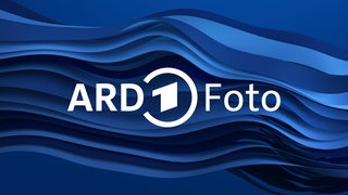 Logo ARD Foto