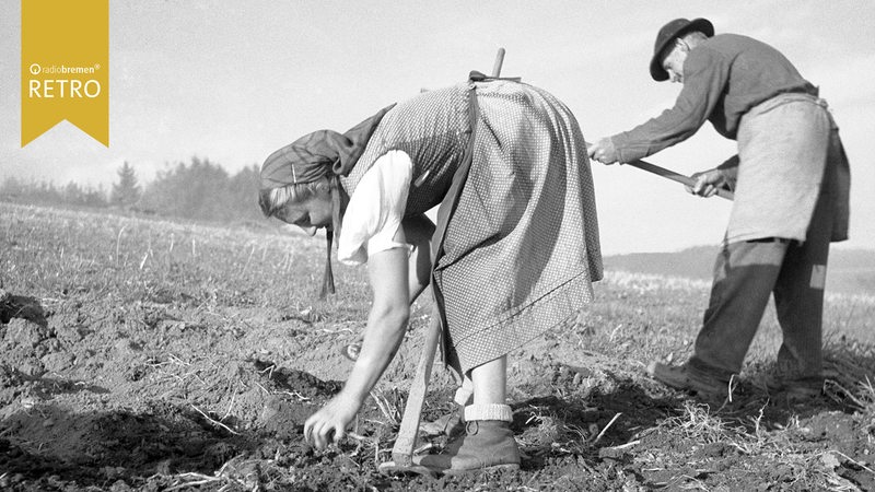 Feldarbeiter*innen in den 50er Jahren