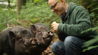 Tobias Leenaert, Autor von “How To Create a Vegan World”, glaubt, dass Aktivisten bereit sein müssen, Kompromisse zu schließen, wenn sie die Welt verändern wollen.